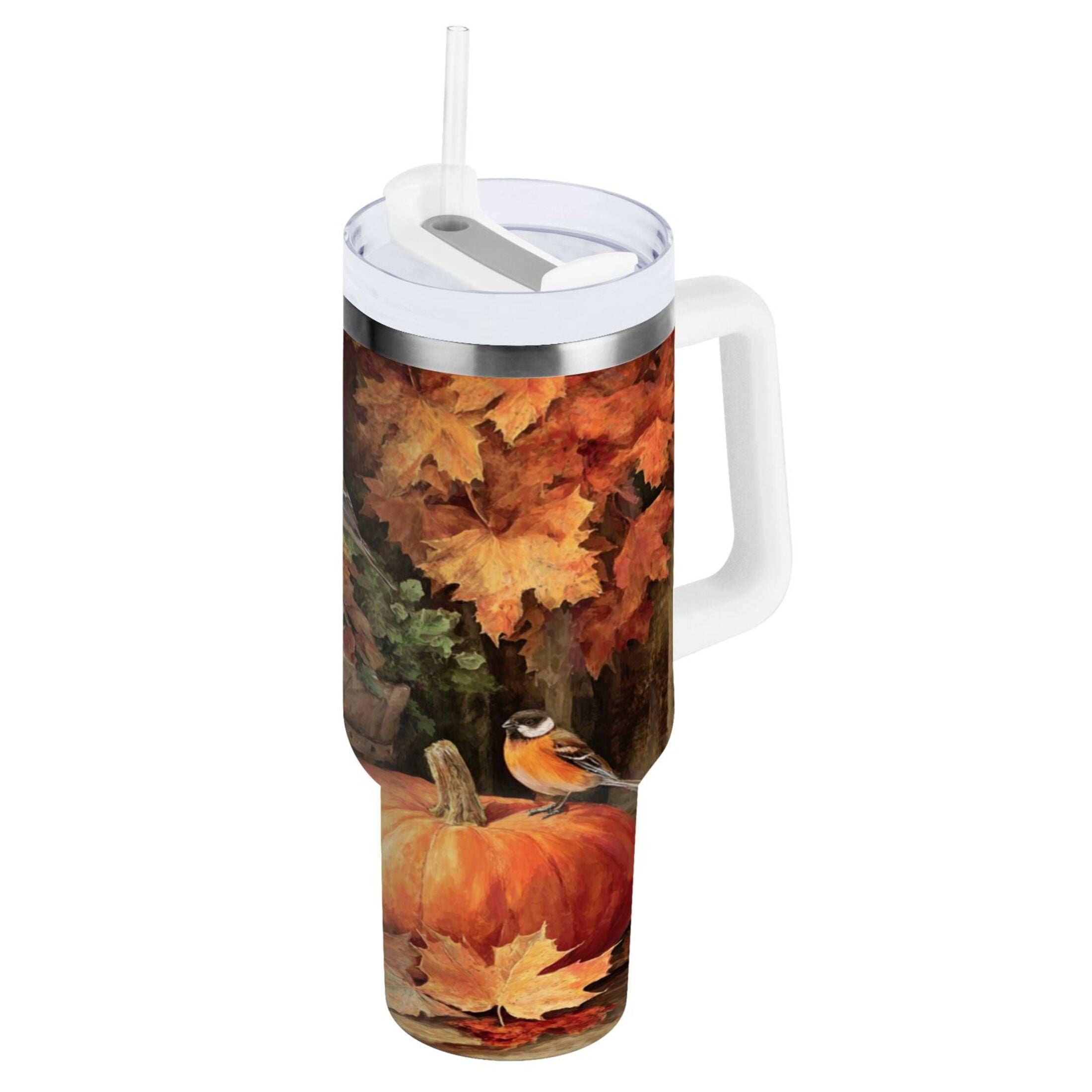 30 oz Insulated Stainless Steel Tumbler Double Wall Stainless Steel Tumbler with 2-Way Drinking Beautiful Fall Scene - Choice 270