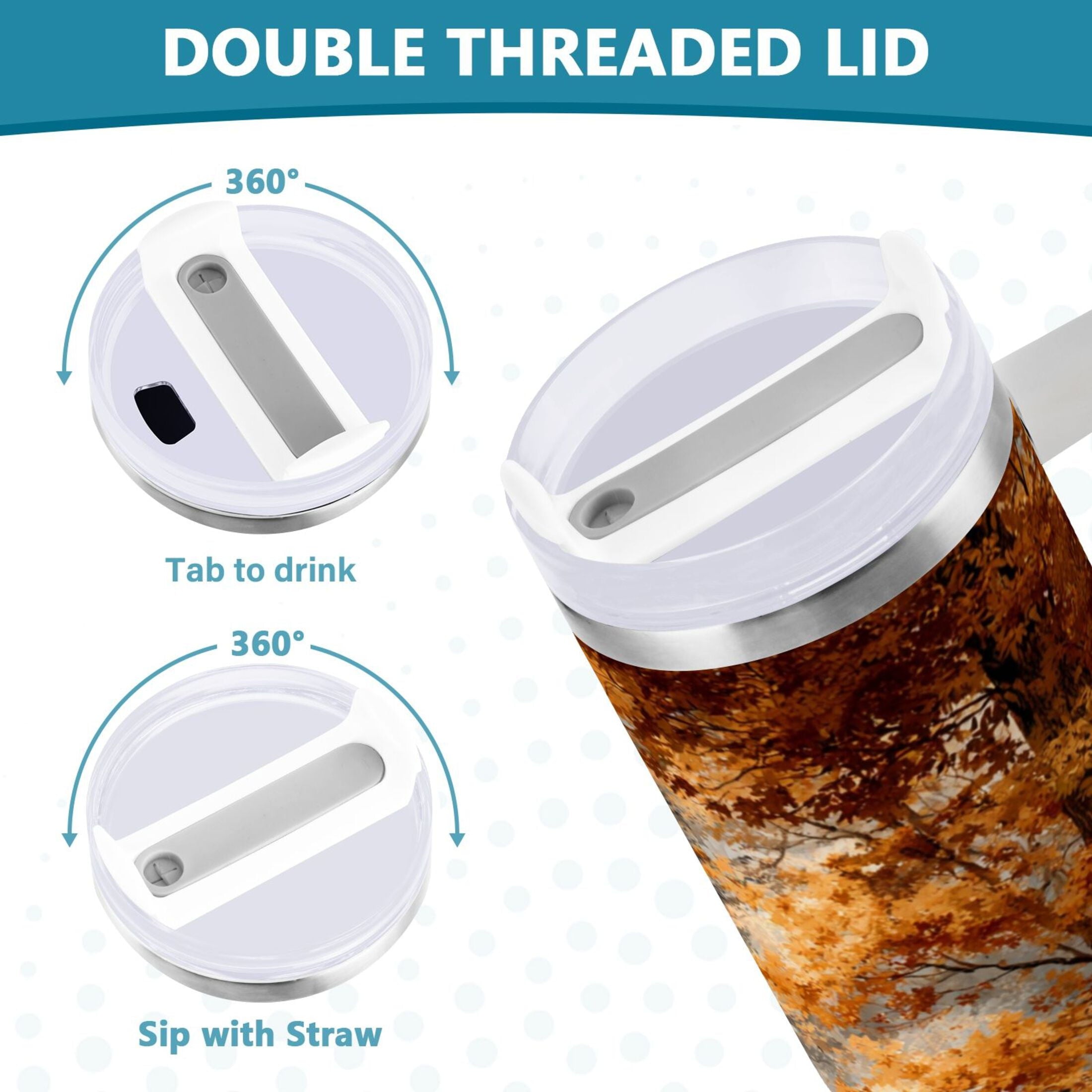 30 oz Insulated Stainless Steel Tumbler Double Wall Stainless Steel Tumbler with 2-Way Drinking Beautiful Autumn Forest - Choice 870