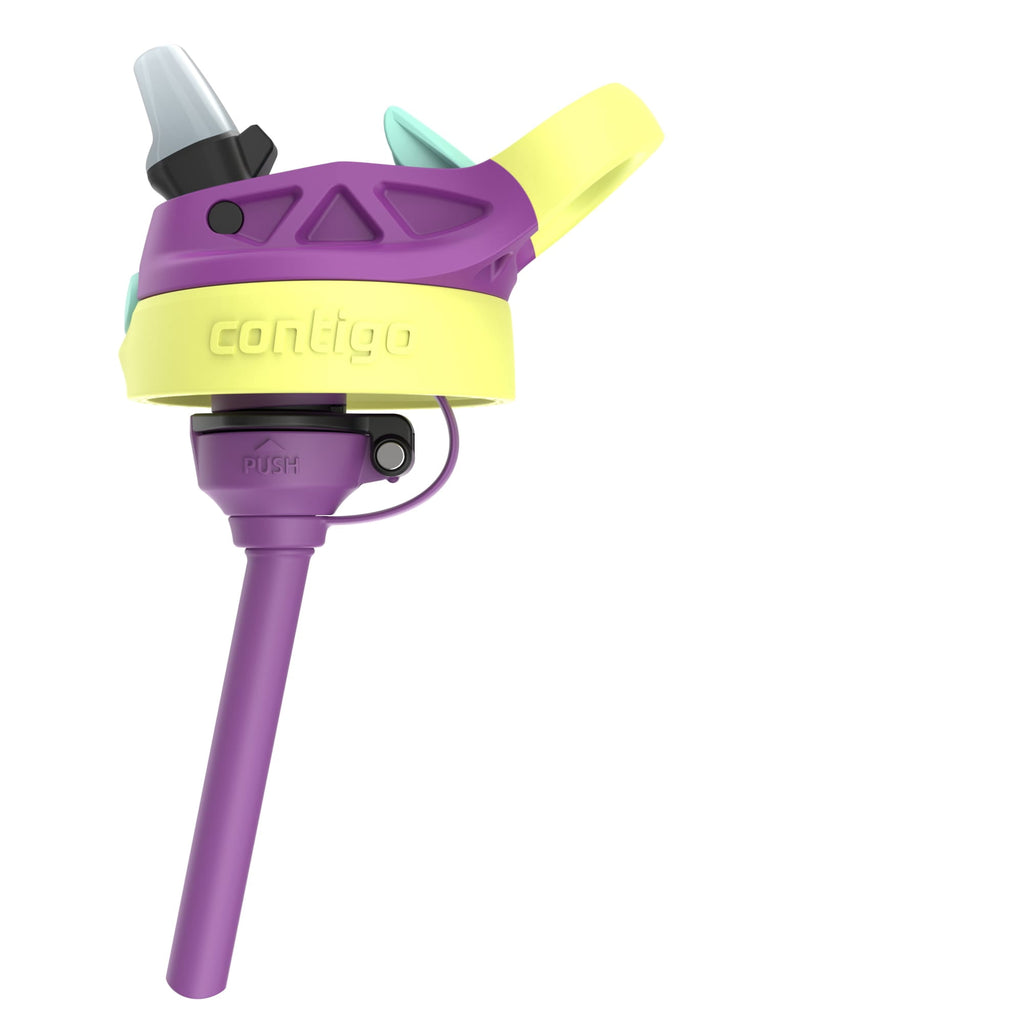 (4 pack) Contigo Kids Water Bottle with Redesigned AUTOSPOUT Straw, 14 oz, Grape Forest Haven - Choice 192