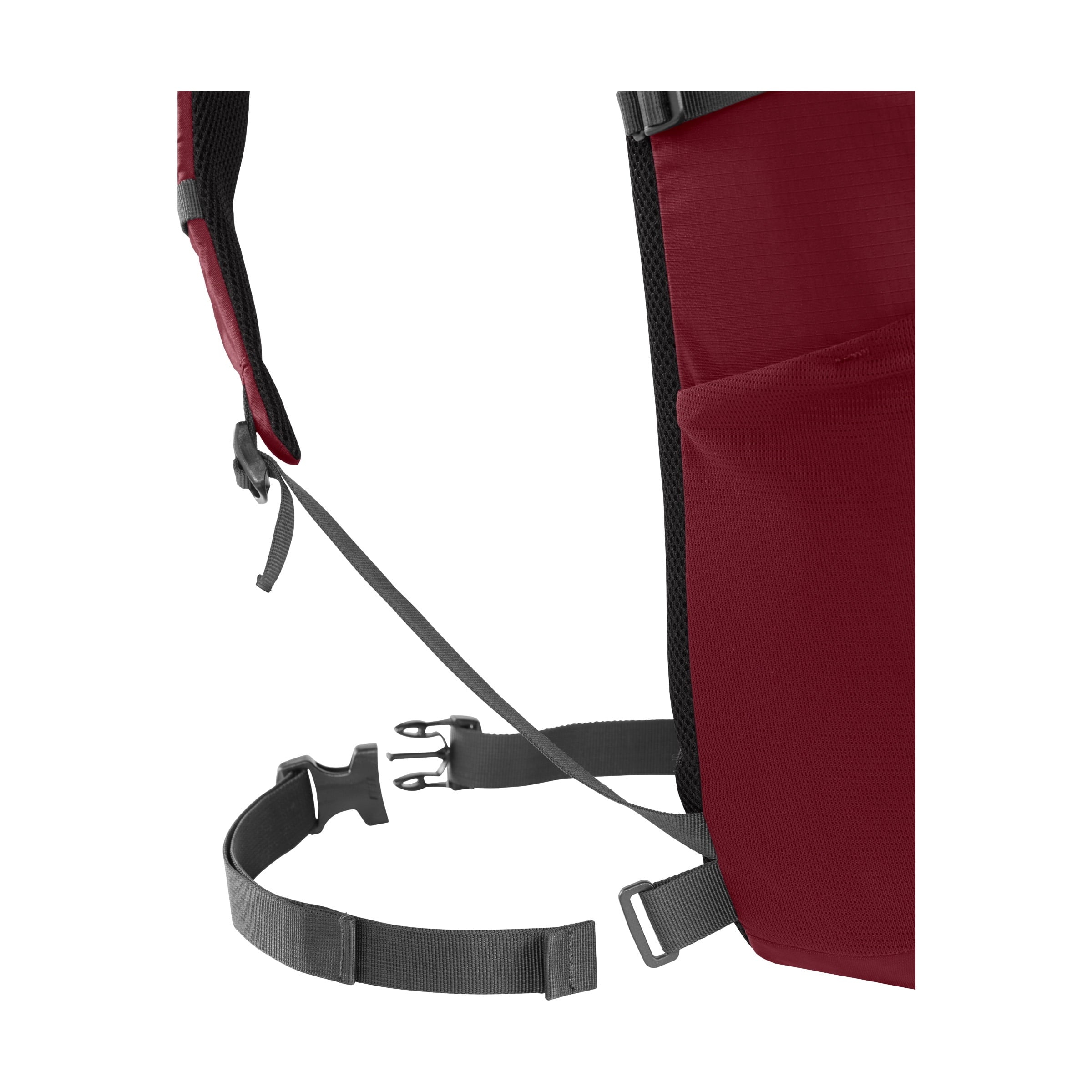 Camelbak Cloud Walker 18 85oz, Cabernet - Choice 595