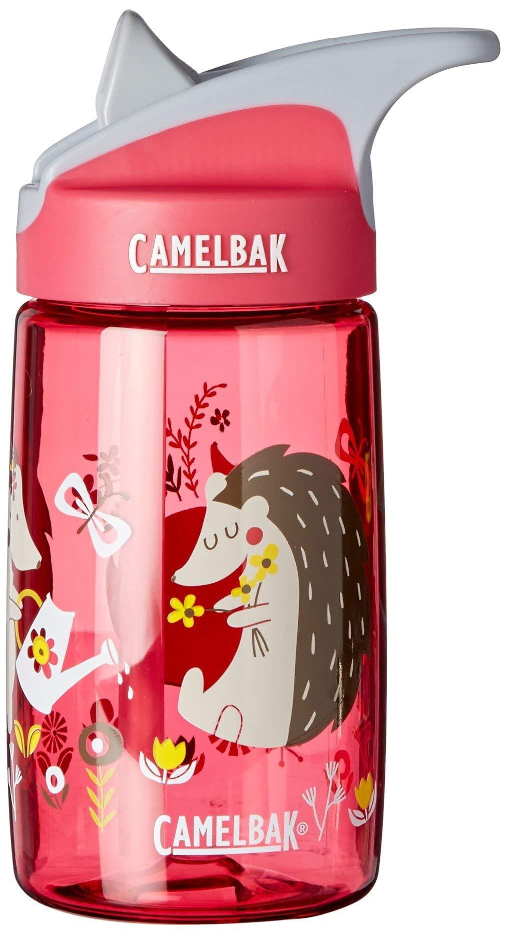 CamelBak Eddy Kids BPA Free Water Bottle Airplane Bandits Bottle Only - Choice 808