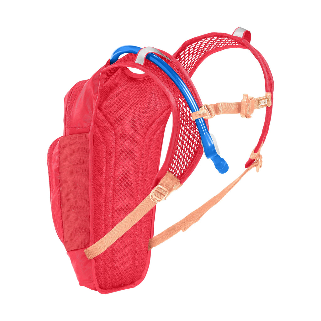 Camelbak Kid's Mini Mule.® 50oz Hydration Pack, Pink/Flowers - Choice 783